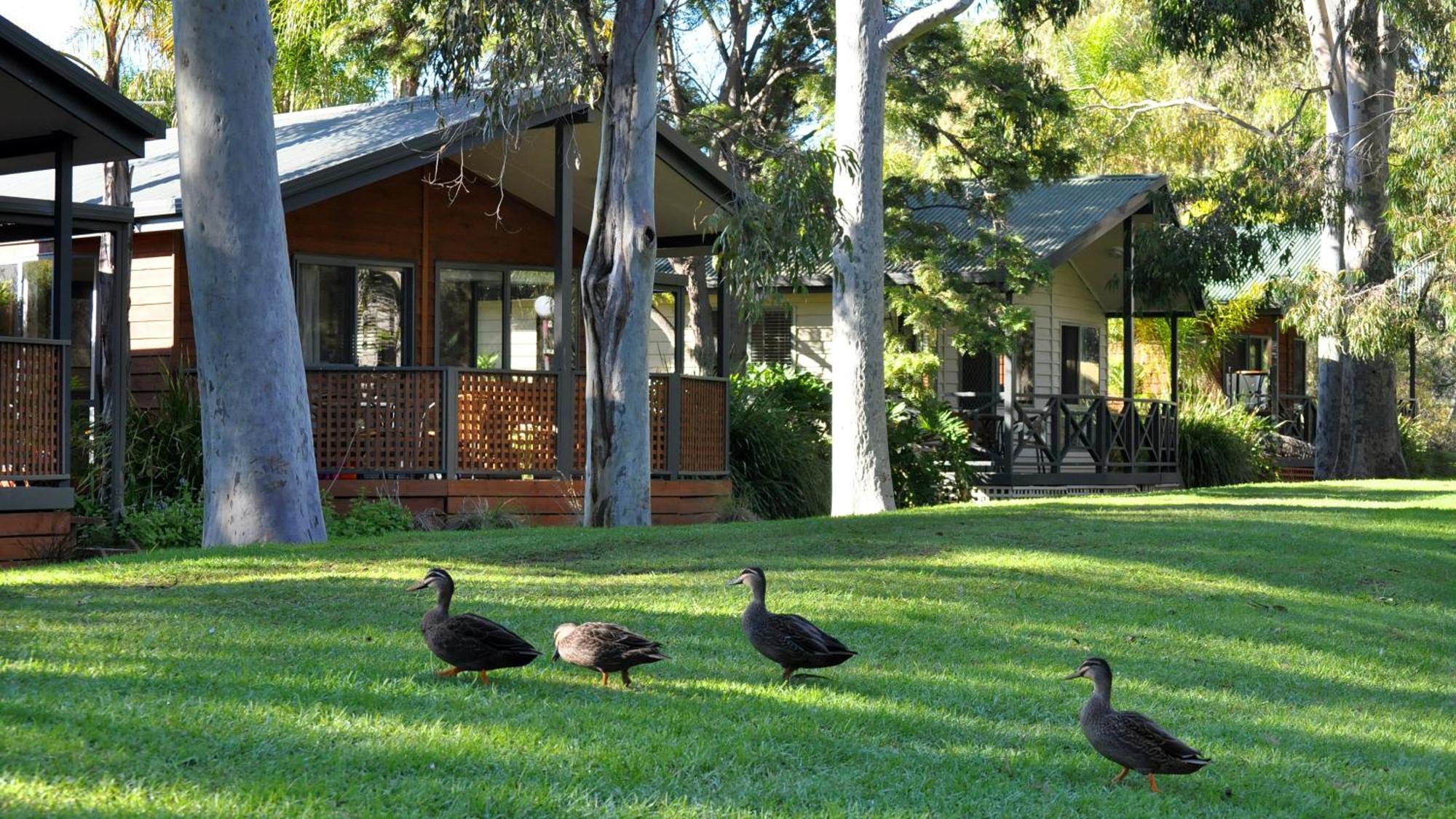 Marion Holiday Park แอดิเลด ภายนอก รูปภาพ